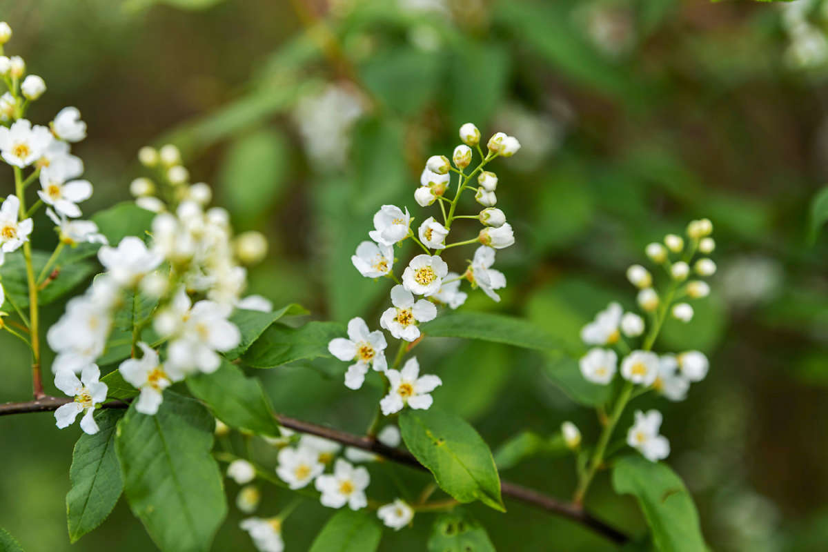 ����� ������� ����� ���������  �� PhotoGeek.ru #������ ��� �������