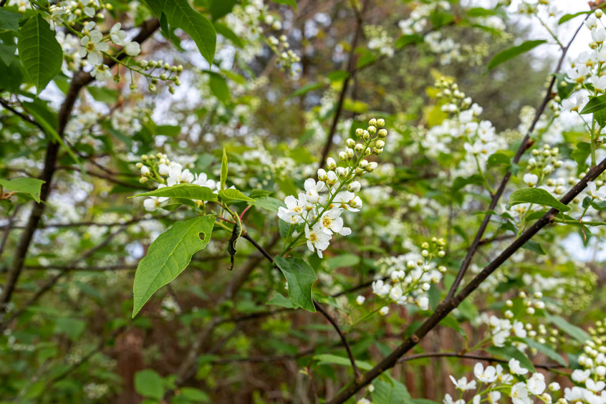 ������� ����� ���������  �� PhotoGeek.ru #������ ��� �������