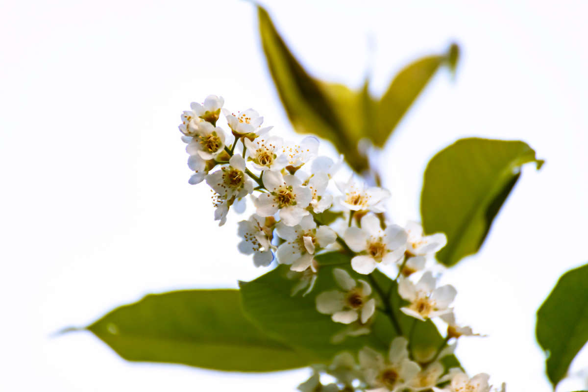 ������� ����� ���������  �� PhotoGeek.ru #������ ��� �������