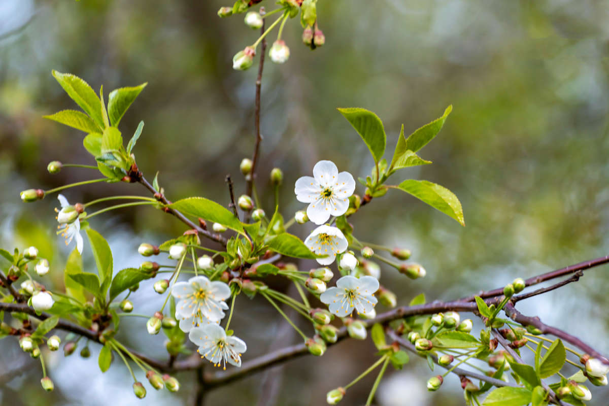 ����� ����� ���������  �� PhotoGeek.ru #������ ��� �������