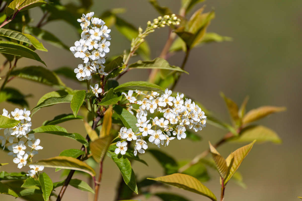 *** ����� ���������  �� PhotoGeek.ru #������ ��� �������