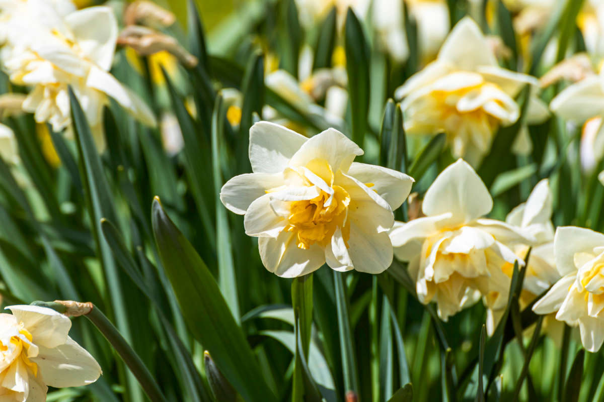 ������� ����� ���������  �� PhotoGeek.ru #������ ��� �������