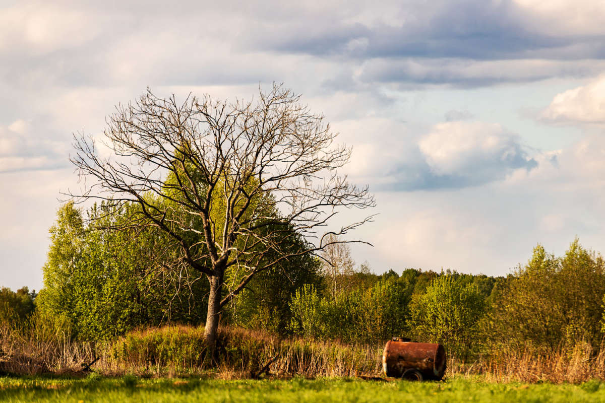 �� �������� ����� ���������  �� PhotoGeek.ru #������ ��� �������