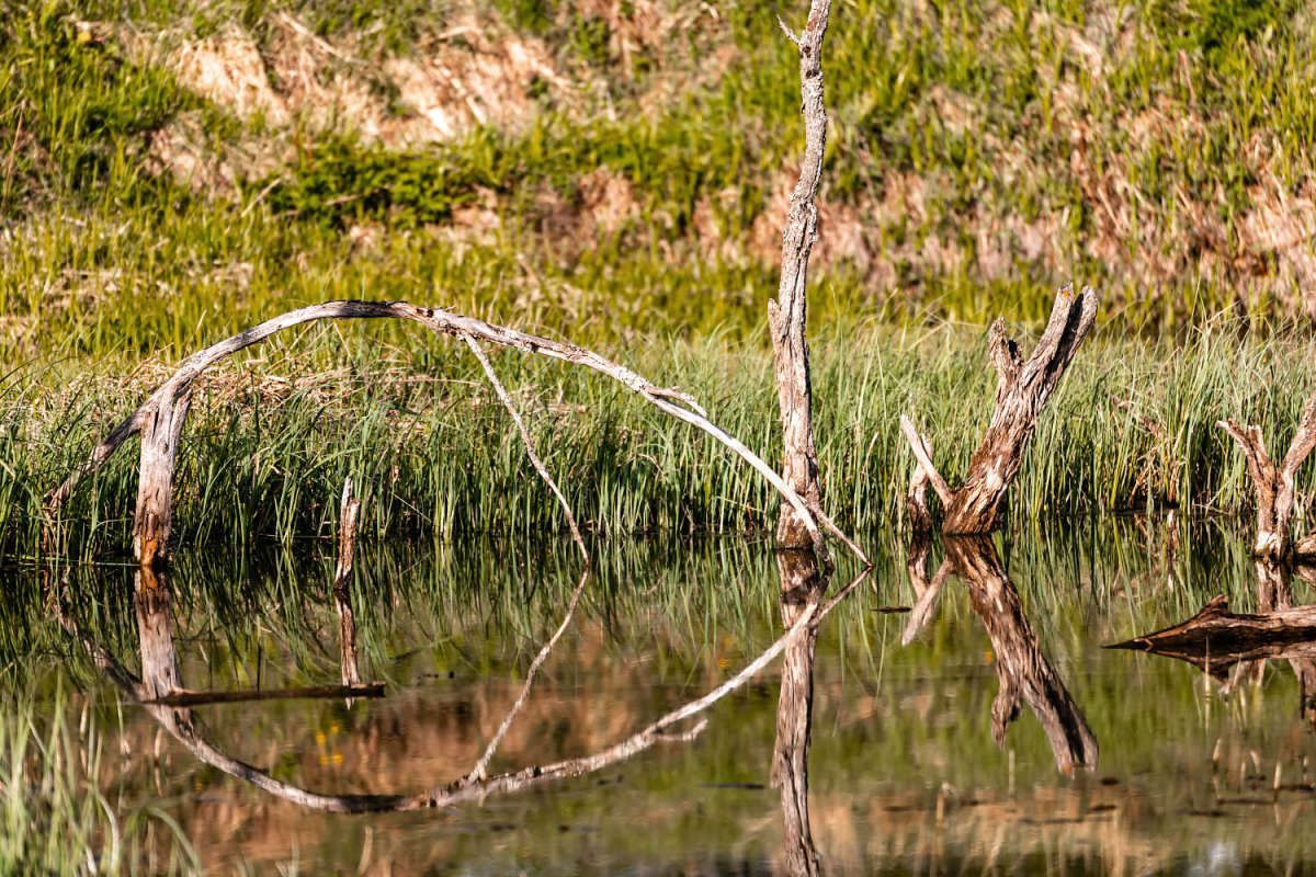 ����� ����� ���������  �� PhotoGeek.ru #������ ��� �������