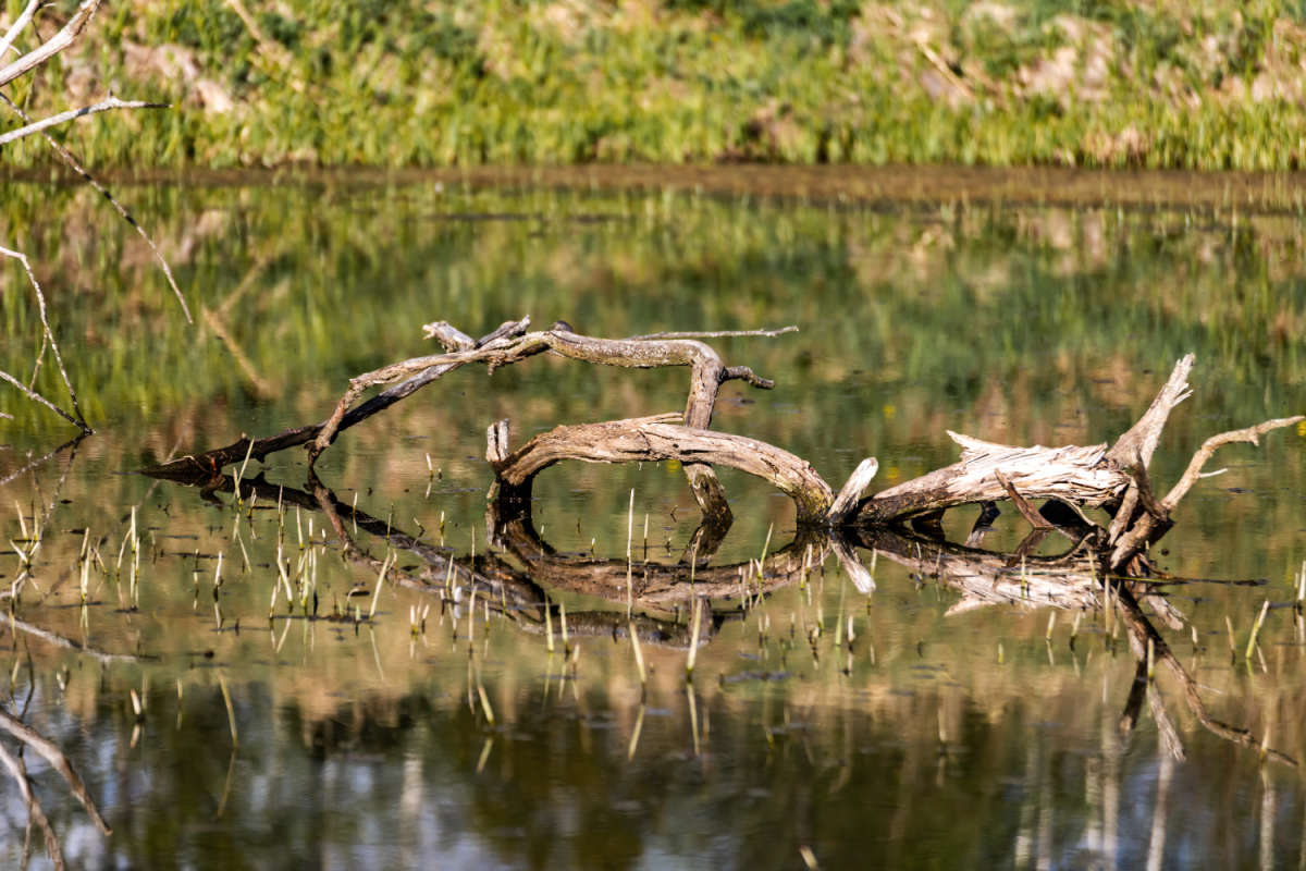 � ������ ����� ���������  �� PhotoGeek.ru #������ ��� �������