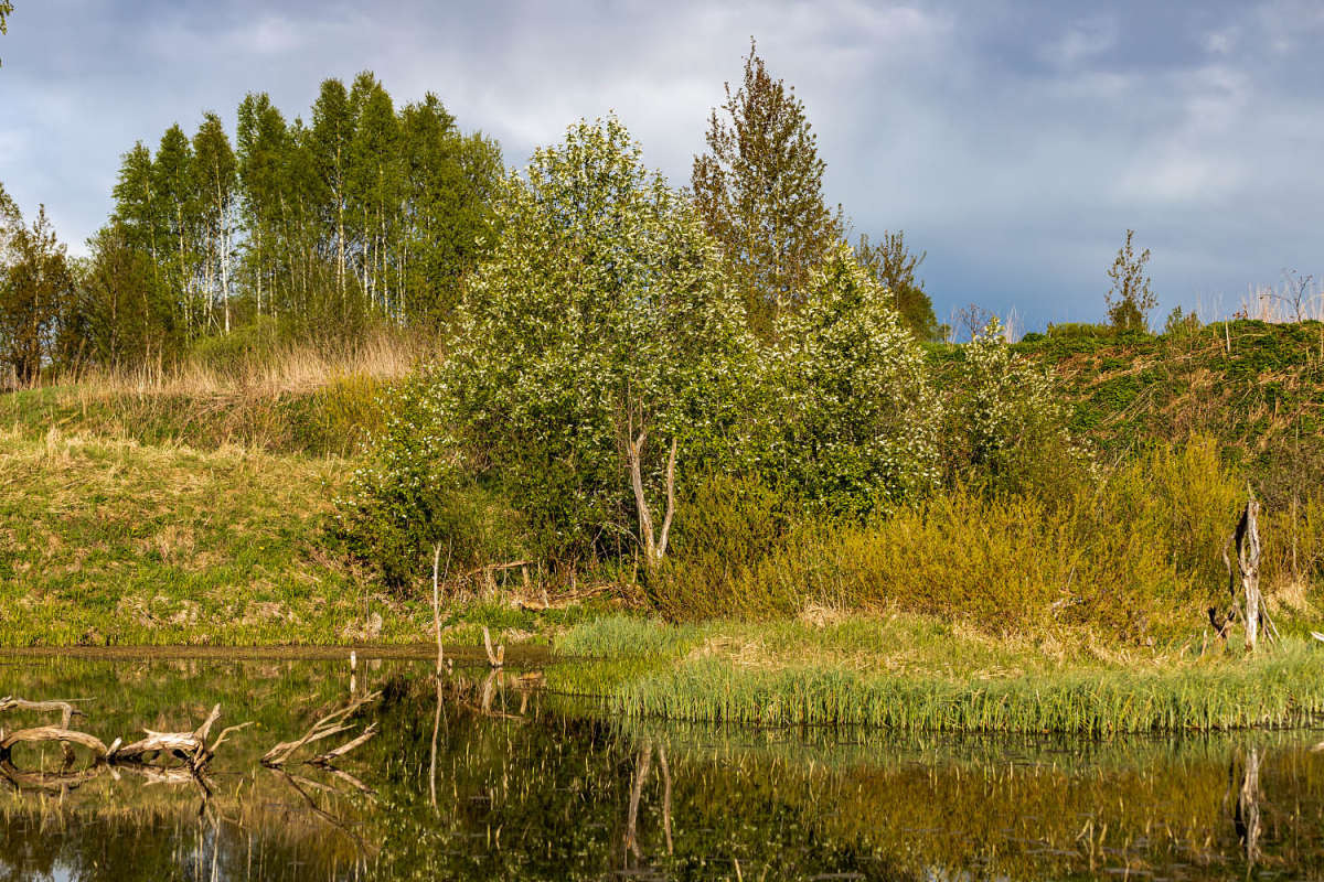 ����� ����� ����� ���������  �� PhotoGeek.ru #������ ��� �������