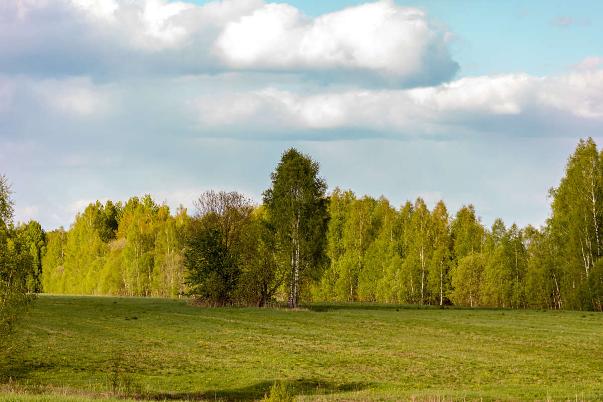 ����� ���� ����� ���������  �� PhotoGeek.ru #������ ��� �������