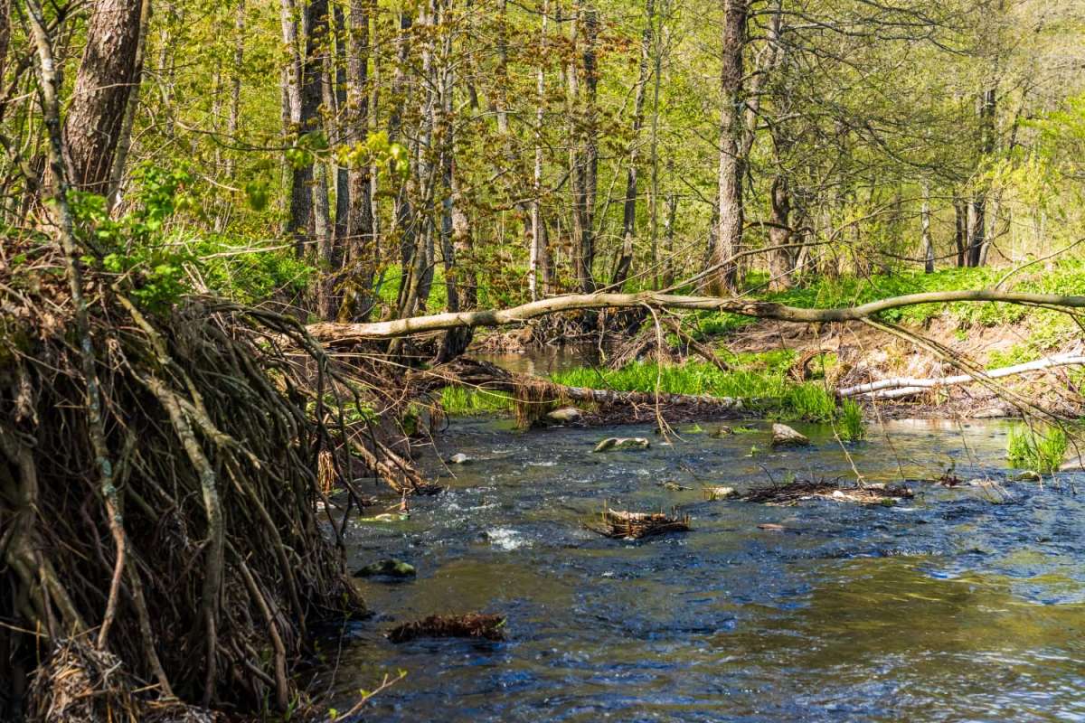 ������� ����� ���������  �� PhotoGeek.ru #������ ��� �������