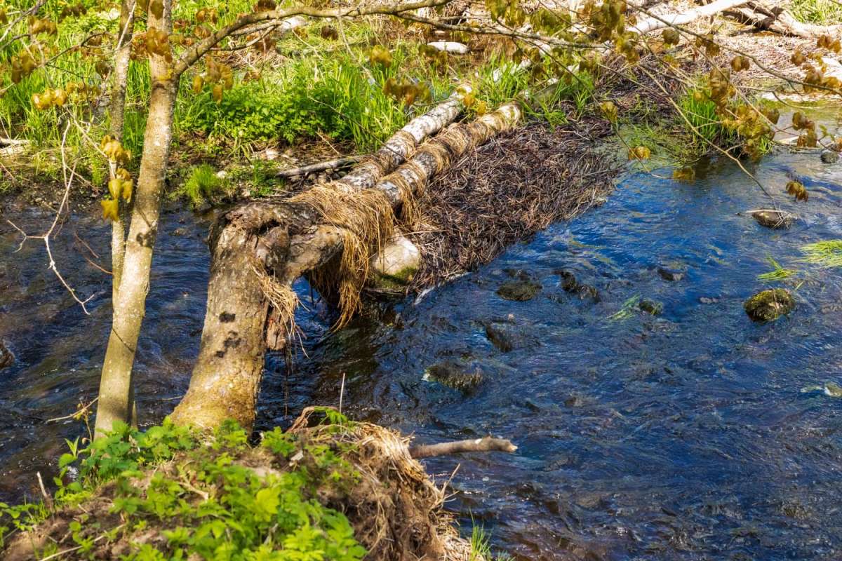 ����� ����� ����� ���������  �� PhotoGeek.ru #������ ��� �������