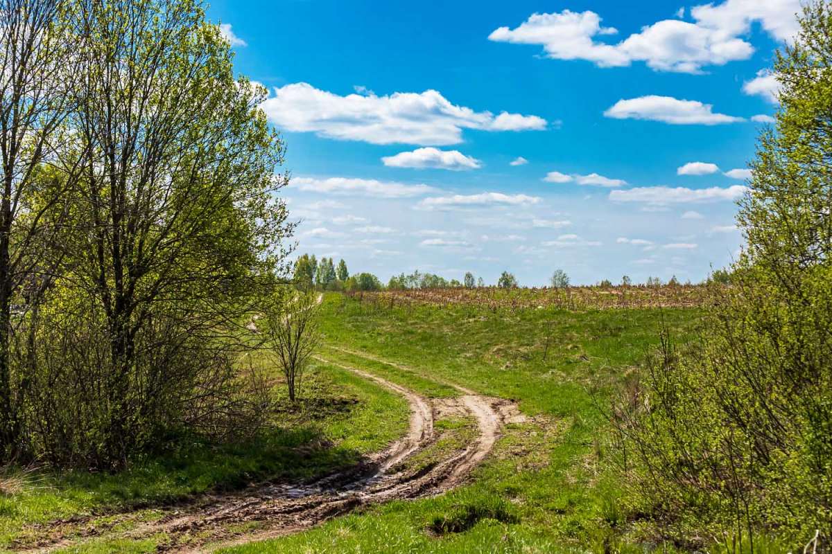 ���������� ��� ����� ���������  �� PhotoGeek.ru #������ ��� �������