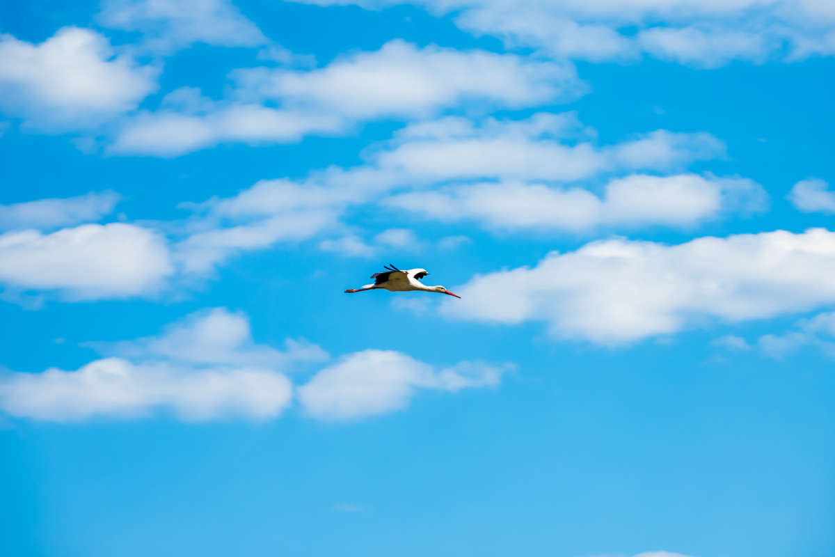 ��� �������� ����� ���������  �� PhotoGeek.ru #�������� ��� #������ ��� �������