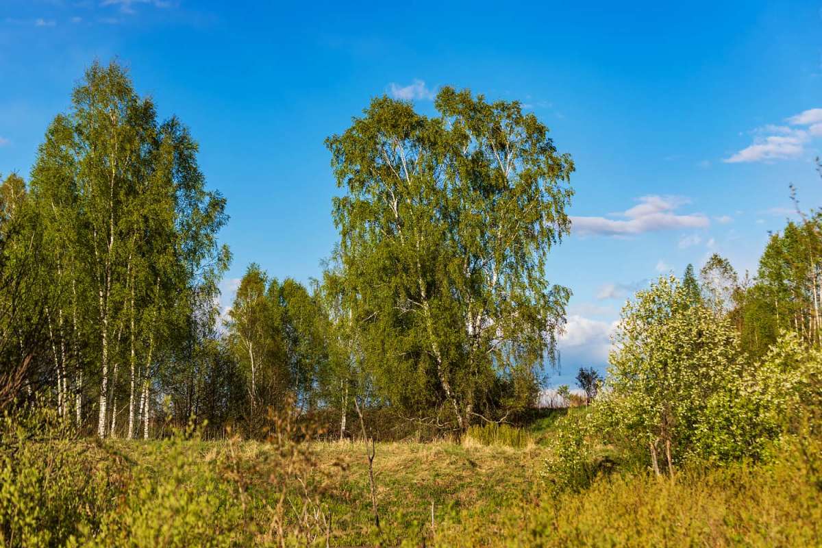 *** ����� ���������  �� PhotoGeek.ru #������ ��� �������