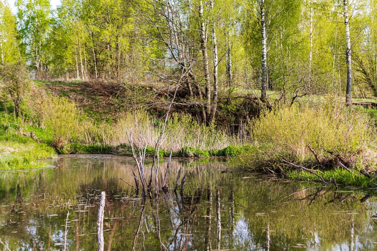 ����� ����� ���������  �� PhotoGeek.ru #������ ��� �������