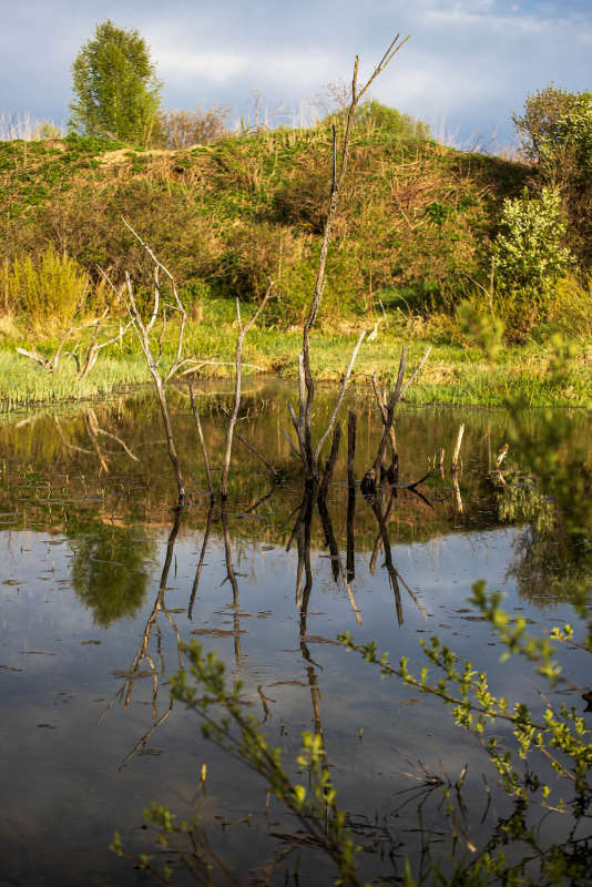 ��������� ����� ���������  �� PhotoGeek.ru #������ ��� �������