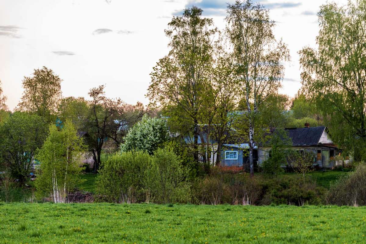 ����� ����� ���������  �� PhotoGeek.ru #������ ��� �������