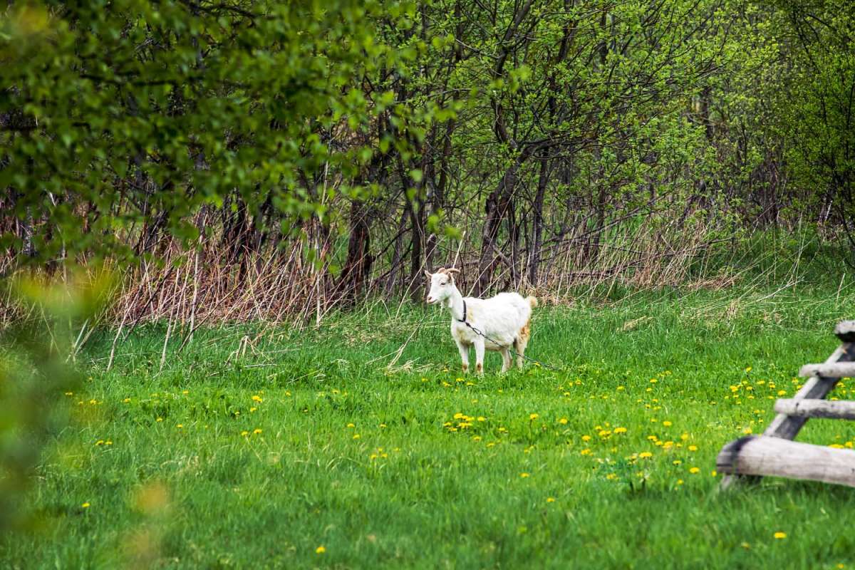 ������� ����� ���������  �� PhotoGeek.ru #�������� ��� #������ ��� �������