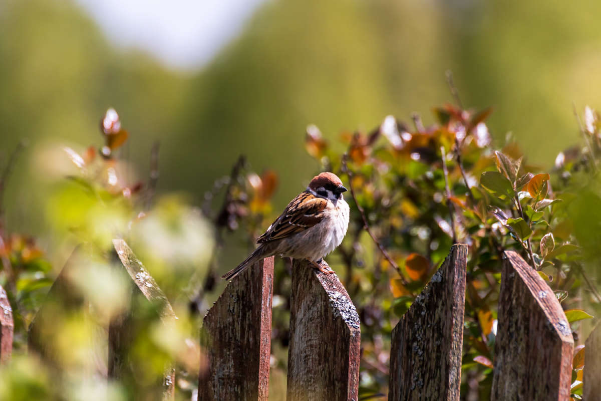 ��� ������� ����� ���������  �� PhotoGeek.ru #�������� ���