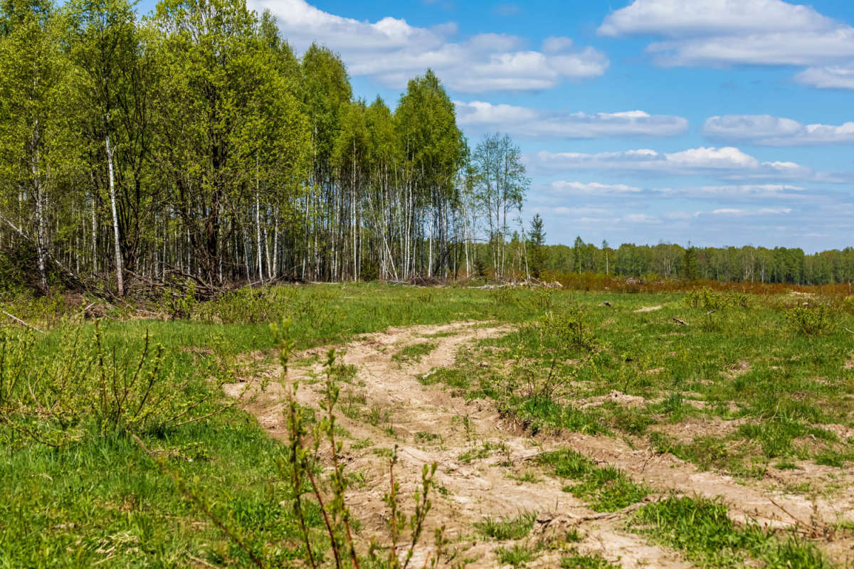 ����� ���� ����� ���������  �� PhotoGeek.ru #������ ��� �������