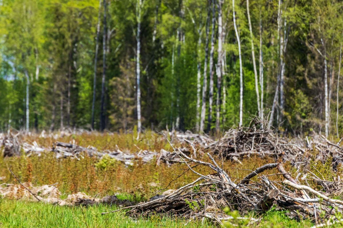 ������� ����� ���������  �� PhotoGeek.ru #������ ��� �������