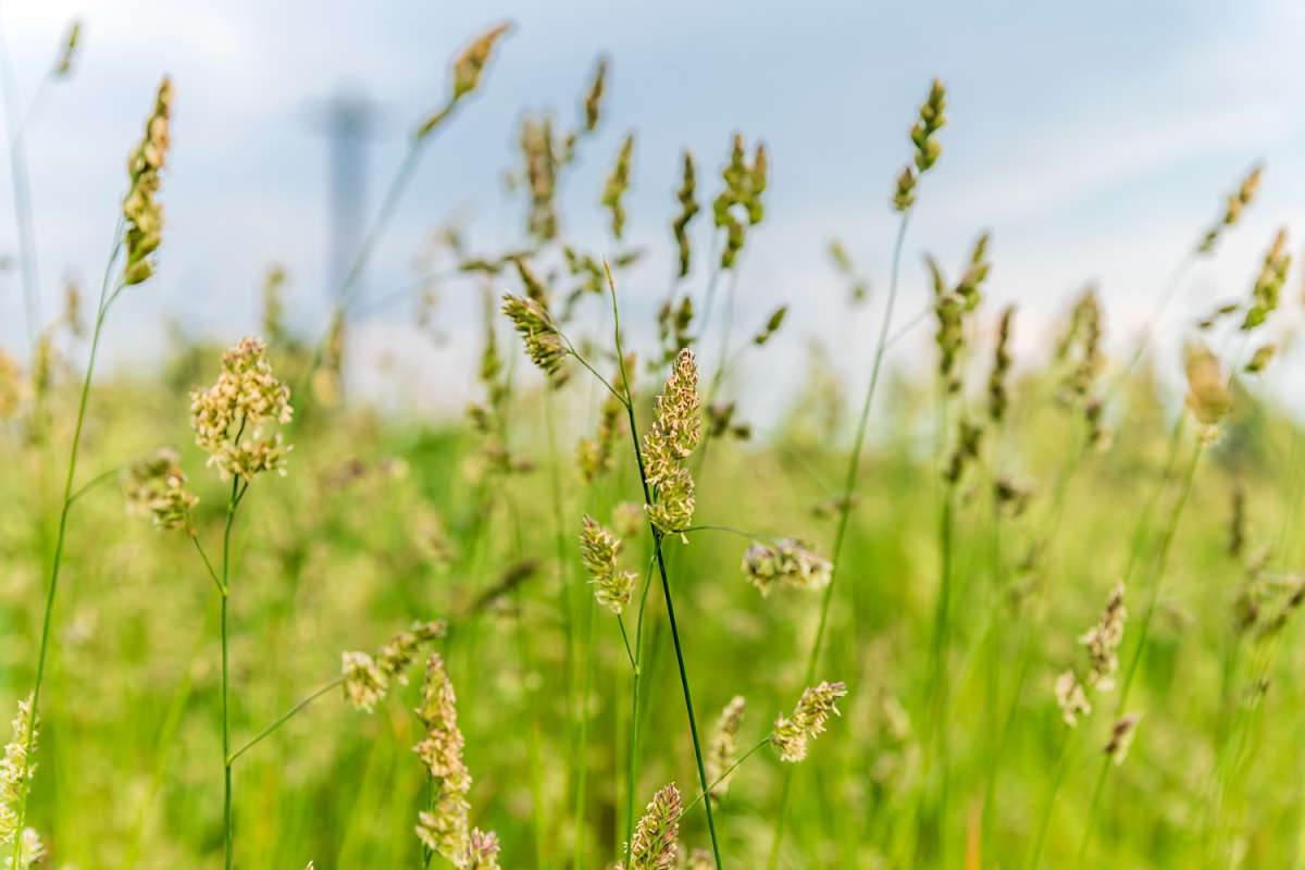 ����� ����� ���������  �� PhotoGeek.ru #������ ��� �������