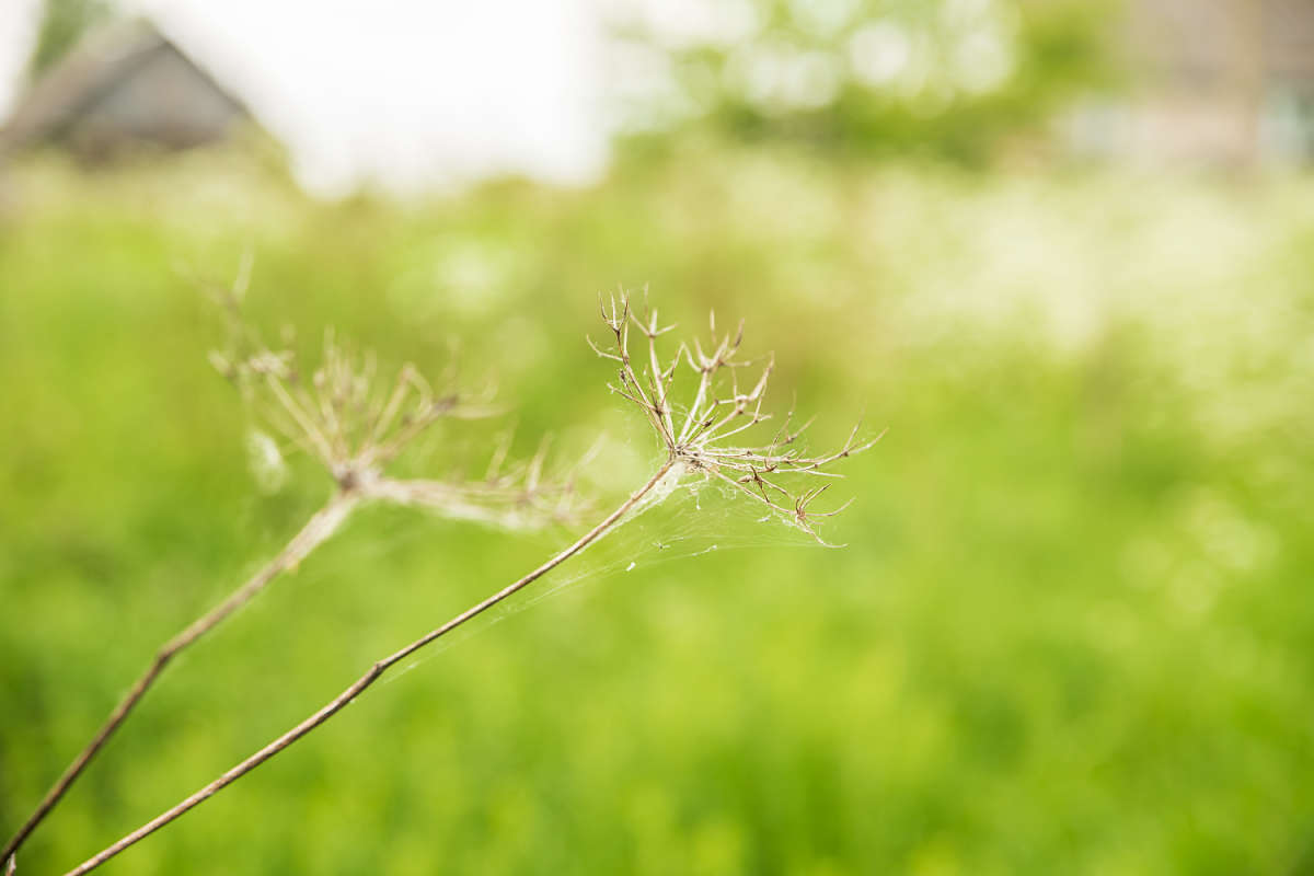 ������ ����� ���������  �� PhotoGeek.ru #������ ��� �������