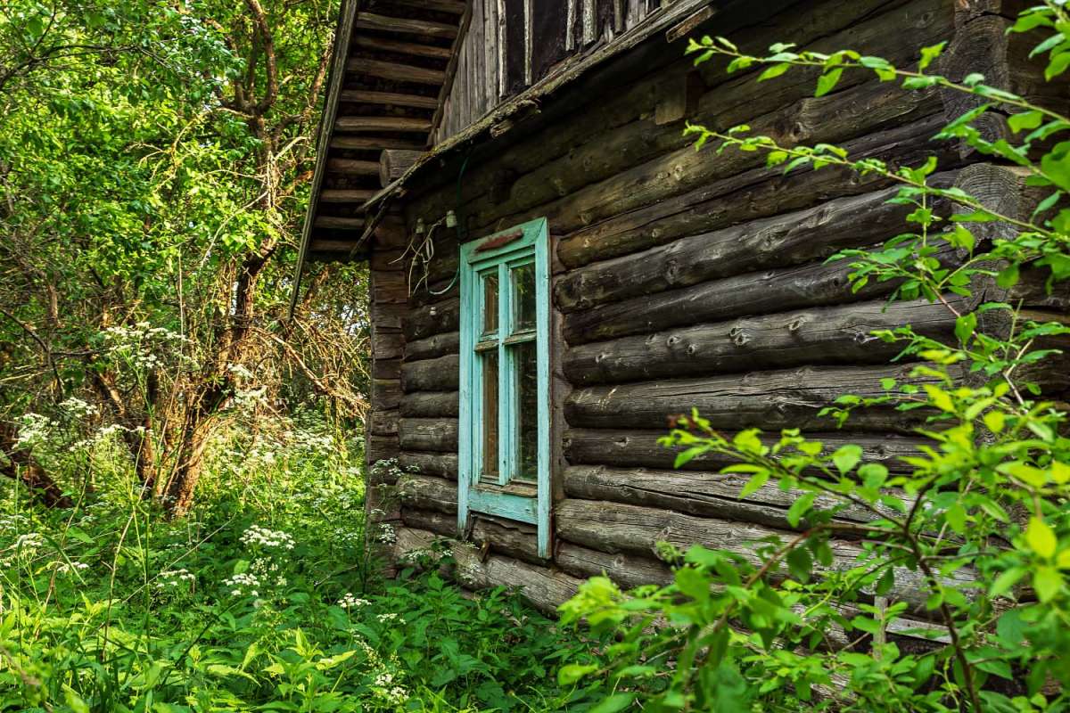 ���� ����� ���������  �� PhotoGeek.ru #�������� ����������