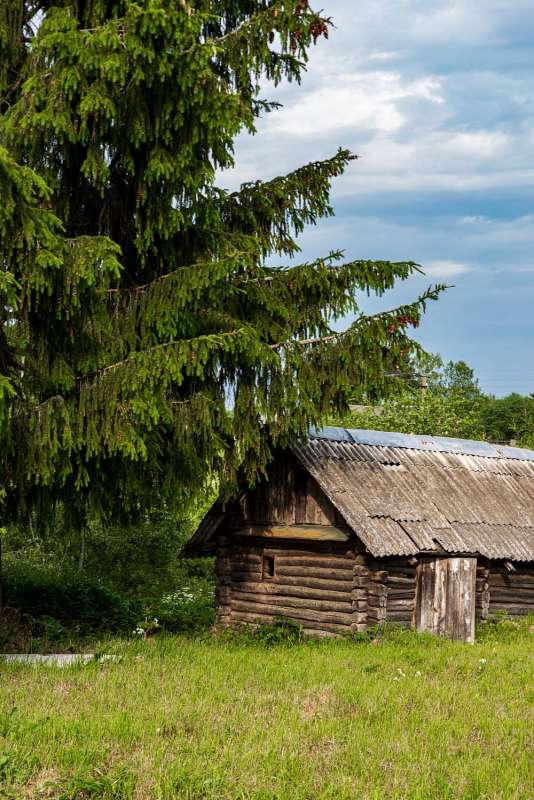 ��� ���� ����� ���������  �� PhotoGeek.ru #������ ��� ������� #�������� ����������