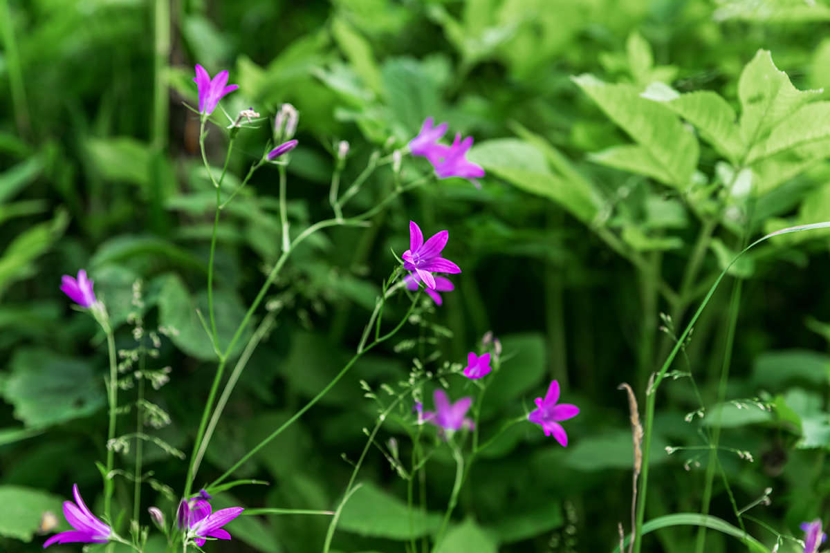 �������� ����� ���������  �� PhotoGeek.ru #������ ��� �������