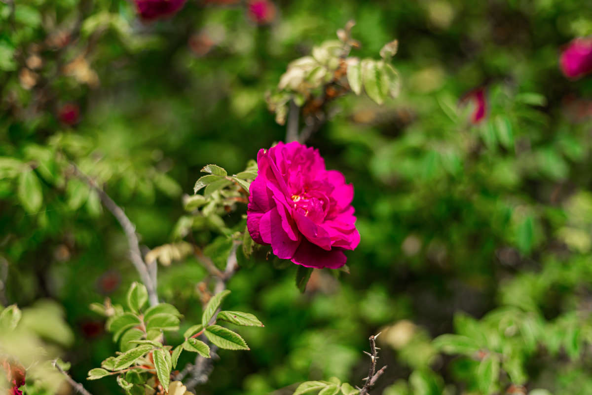 ������ ����� ���������  �� PhotoGeek.ru #������ ��� �������