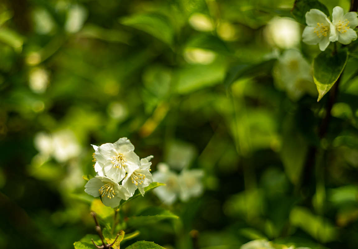 �������� ����� ���������  �� PhotoGeek.ru #������ ��� �������