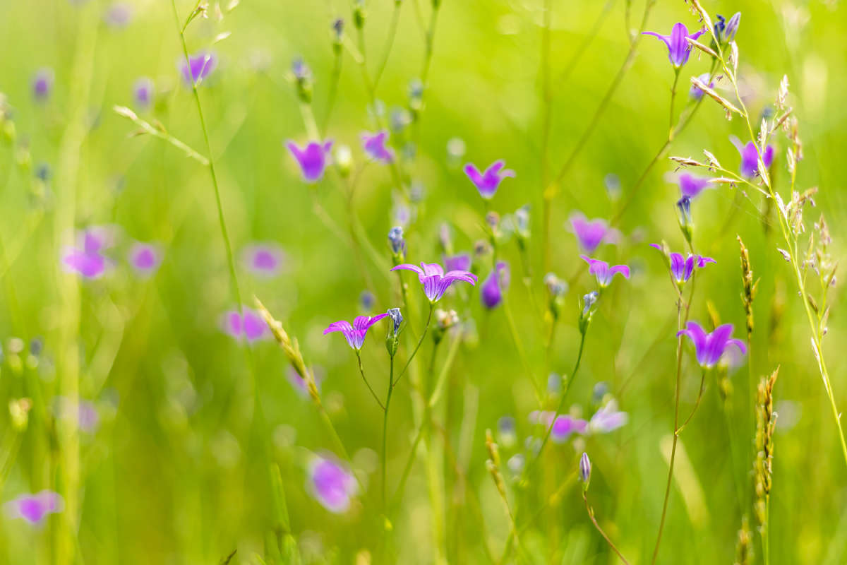 ������������ ����� ���������  �� PhotoGeek.ru #������ ��� �������