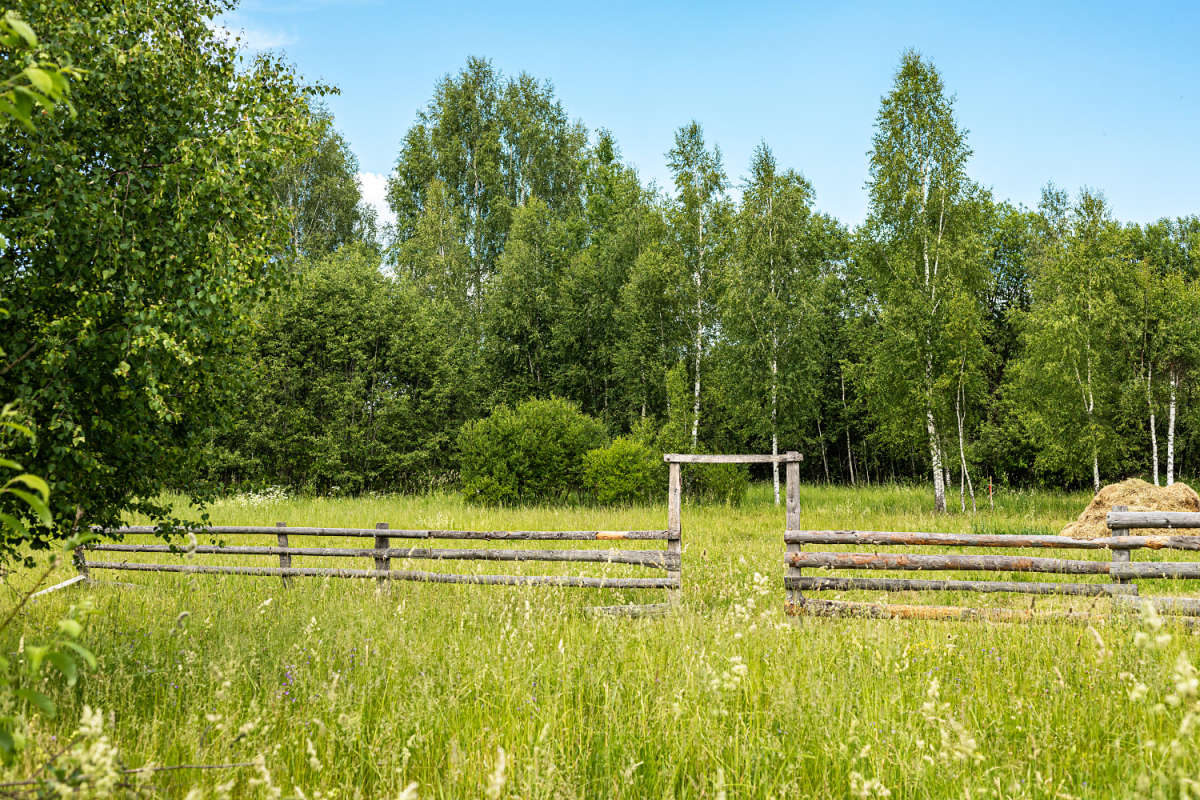 �������� ����� ���������  �� PhotoGeek.ru #������ ��� �������