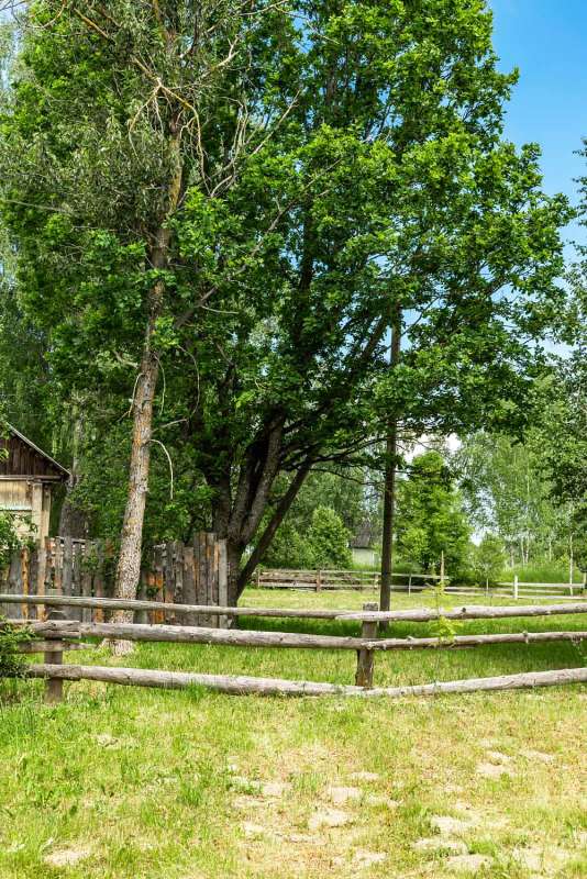 � ������� ����� ���������  �� PhotoGeek.ru #������ ��� �������