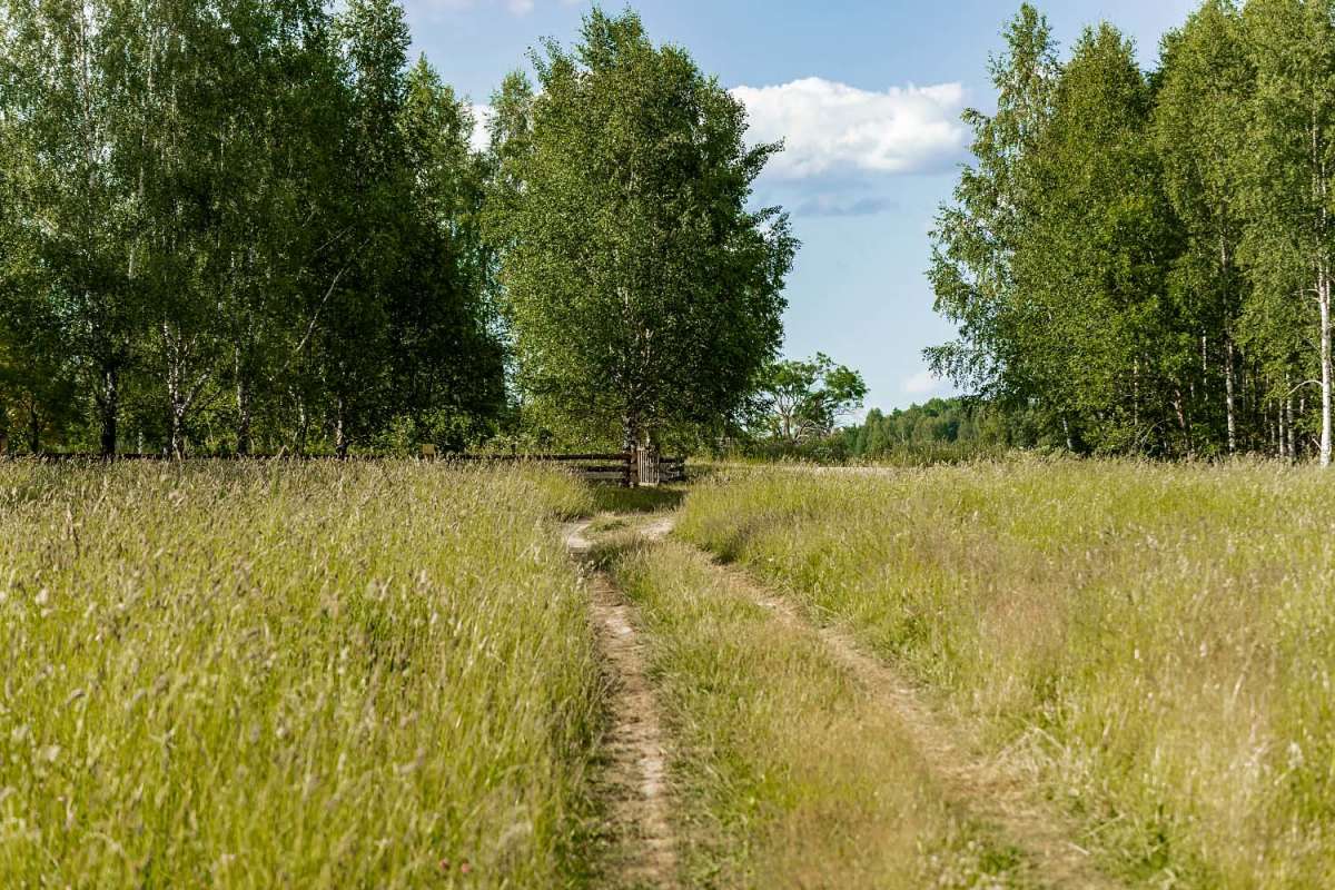 ������ ����� ���������  �� PhotoGeek.ru #������ ��� �������