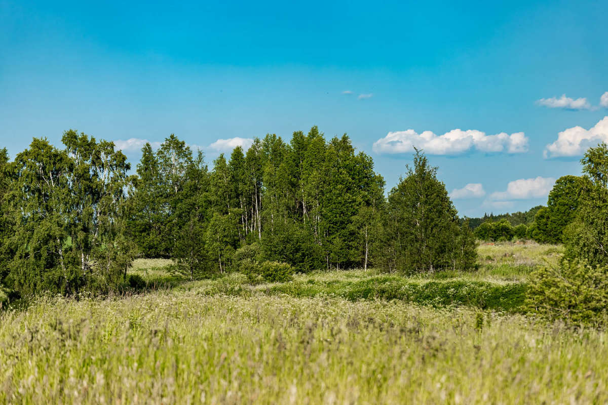 *** ����� ���������  �� PhotoGeek.ru #������ ��� �������