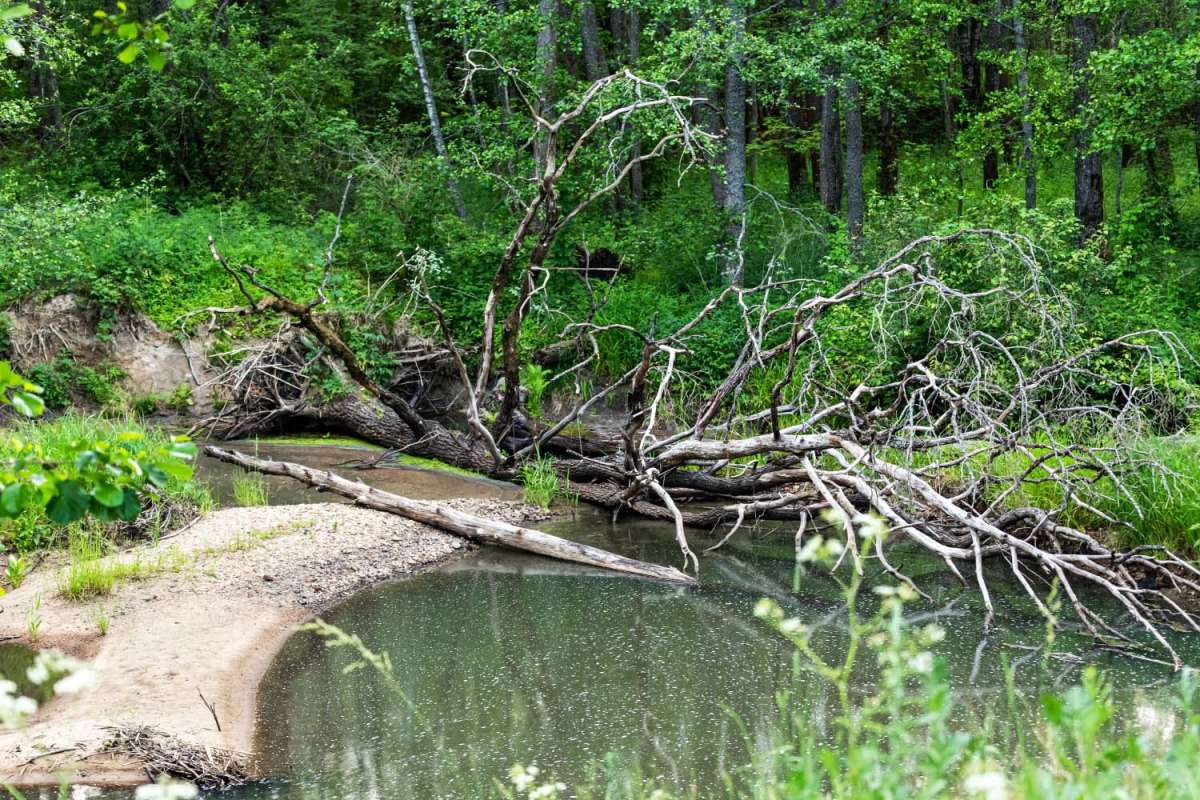 ������� ����� ���������  �� PhotoGeek.ru #������ ��� �������