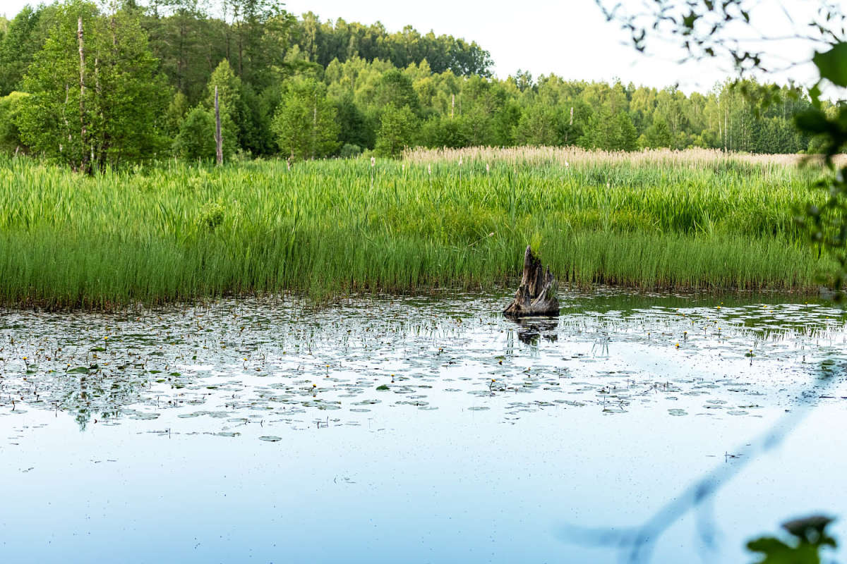 ������� ���� ����� ���������  �� PhotoGeek.ru #������ ��� �������