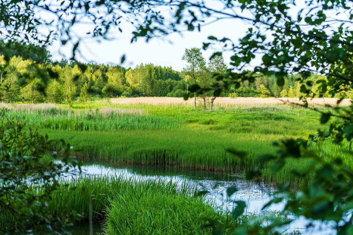 ���� ������� ����� ���������  �� PhotoGeek.ru #������ ��� �������