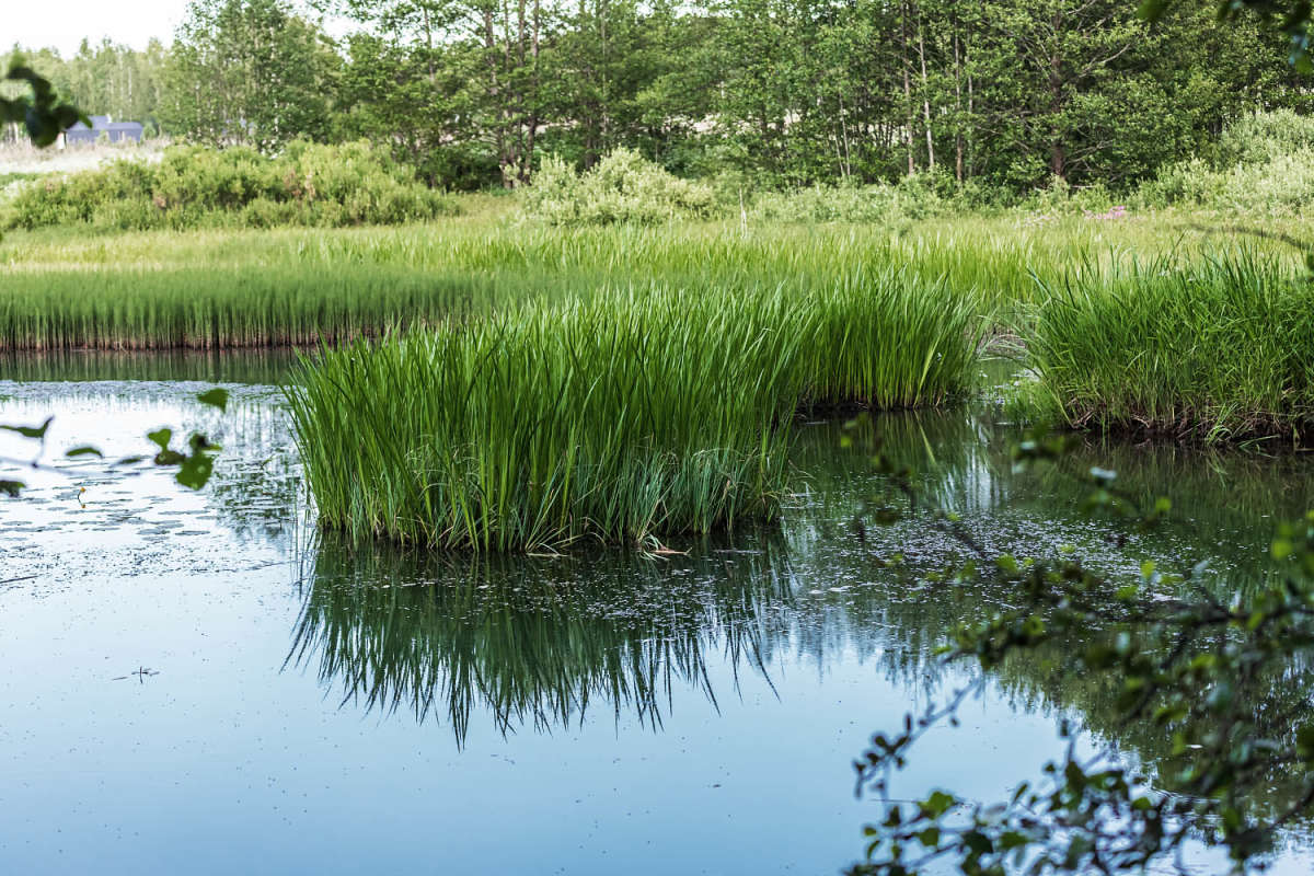 ������ ������� ����� ���������  �� PhotoGeek.ru #������ ��� �������