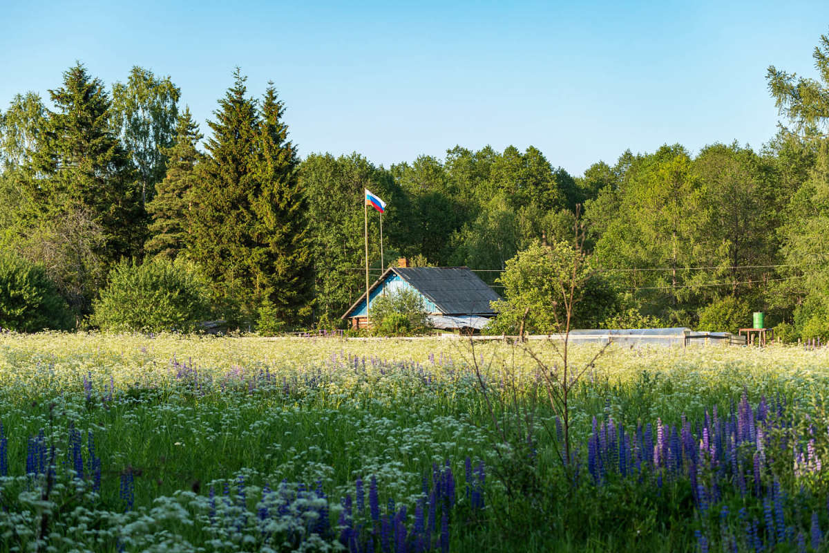 � ������ ����� ���������  �� PhotoGeek.ru #������ ��� ������� #�������� ����������