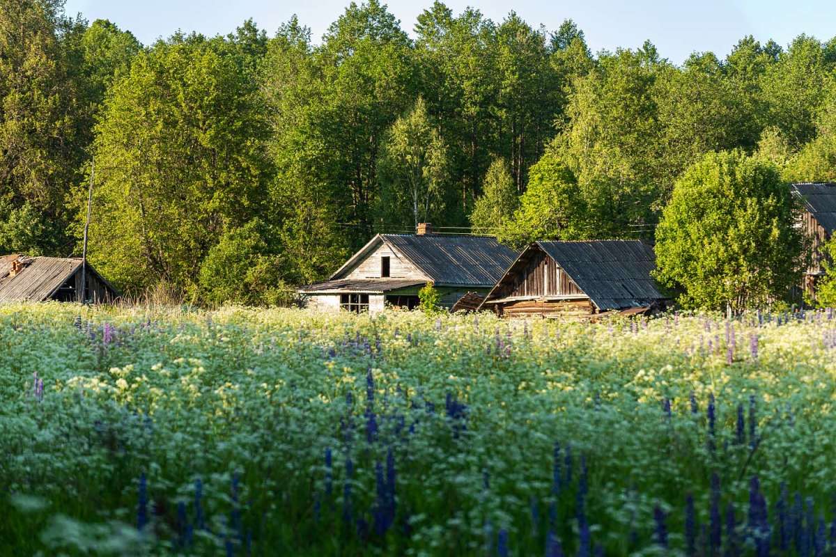 *** ����� ���������  �� PhotoGeek.ru #������ ��� ������� #�������� ����������