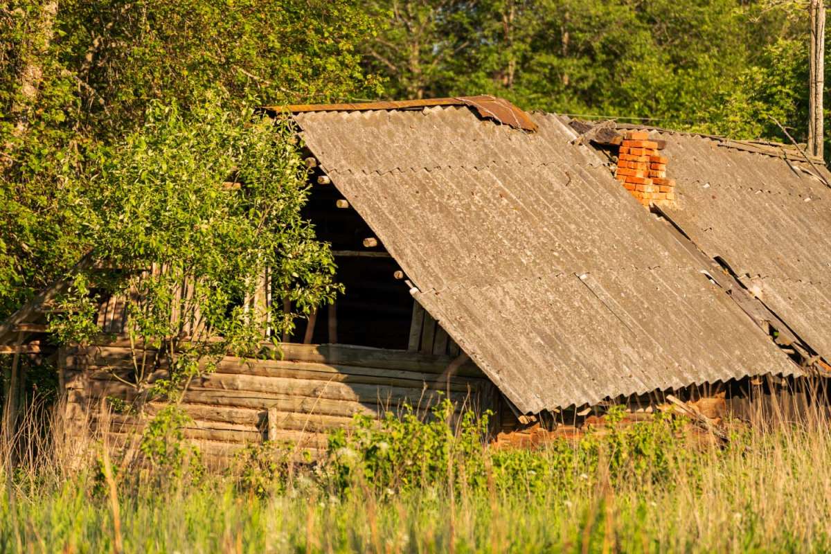 ���� ����� ���������  �� PhotoGeek.ru #������ ��� ������� #�������� ����������