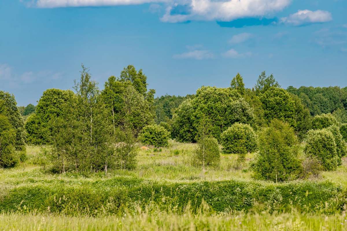 ������� ����� ���������  �� PhotoGeek.ru #������ ��� �������