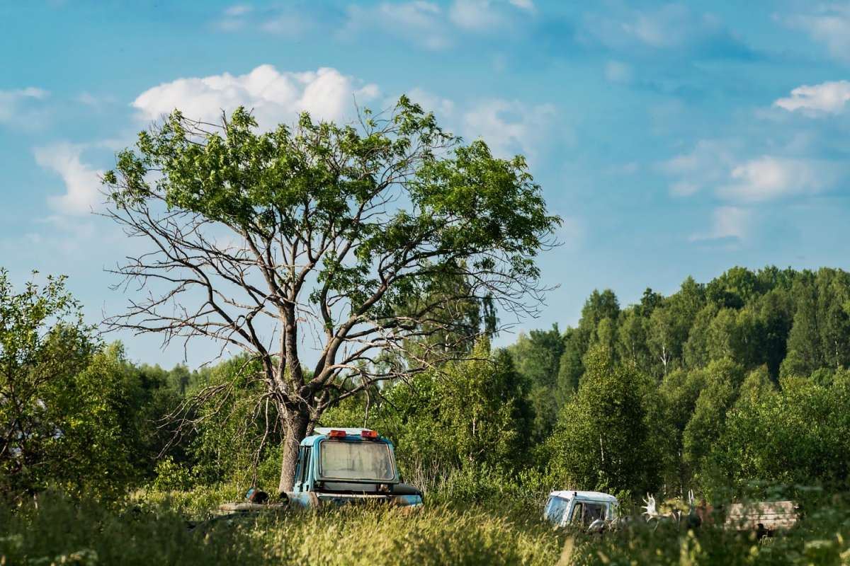 ��� ������� ����� ���������  �� PhotoGeek.ru #������ ��� ������� #�������� ����������