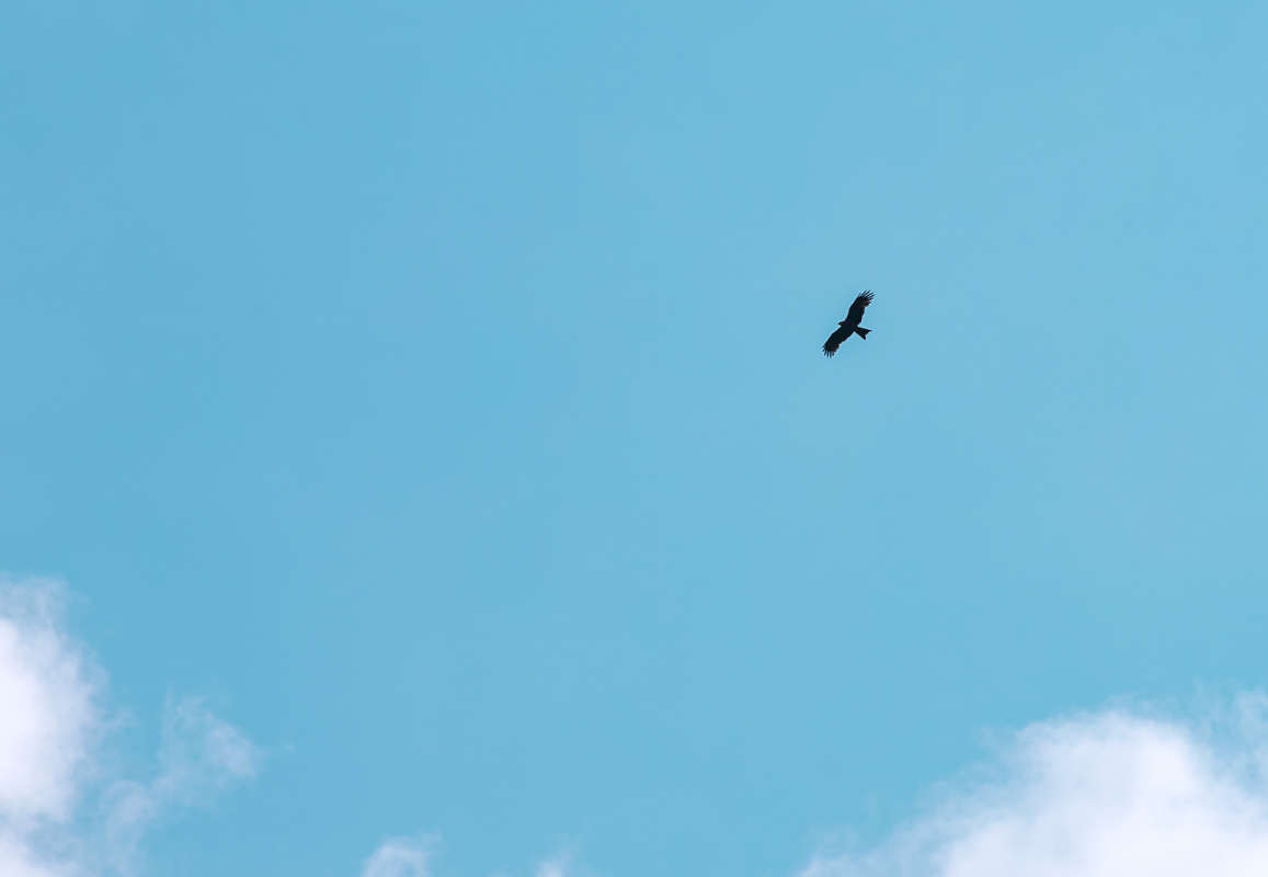 � ���� ����� ���������  �� PhotoGeek.ru #������ ��� �������