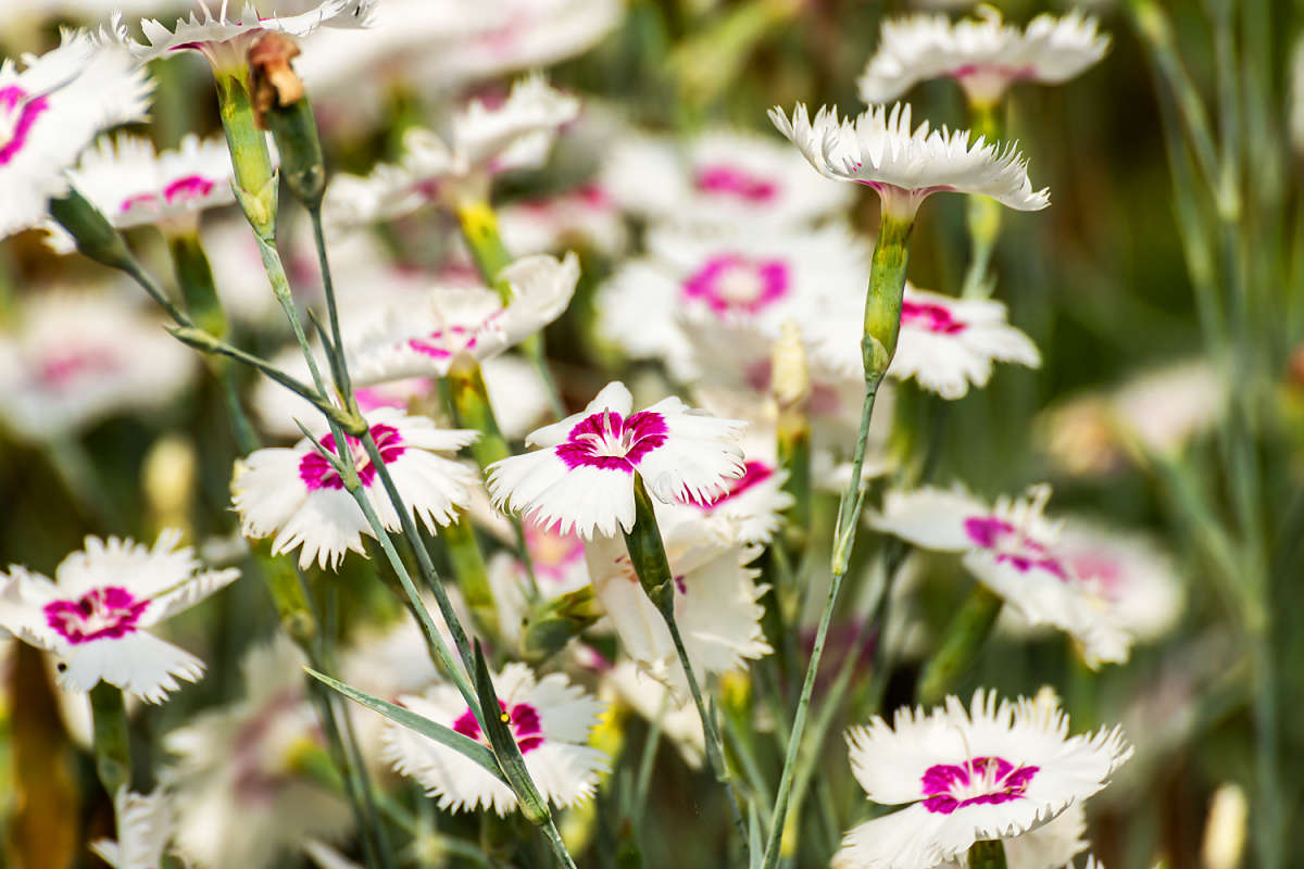 ������� ����� ���������  �� PhotoGeek.ru #������ ��� �������