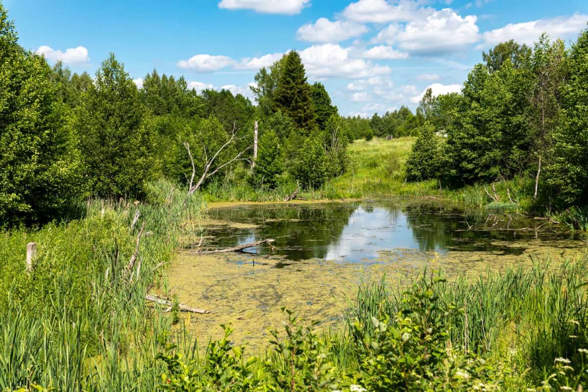 ����� ����� ���������  �� PhotoGeek.ru #������ ��� �������