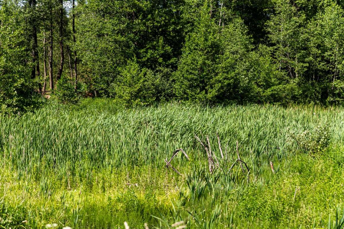 ����� ����� ���������  �� PhotoGeek.ru #������ ��� �������