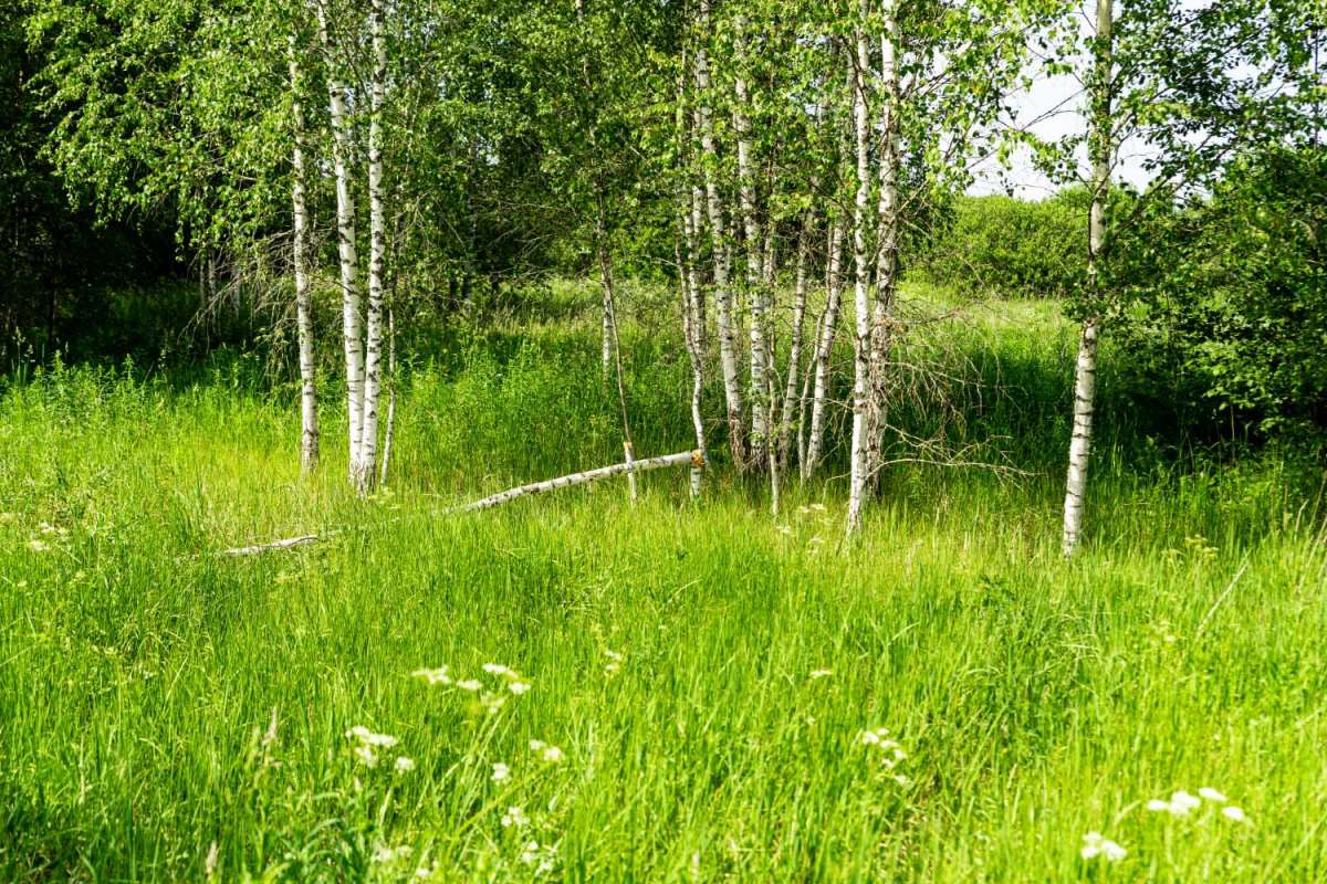 ������ ����� ���������  �� PhotoGeek.ru #������ ��� �������