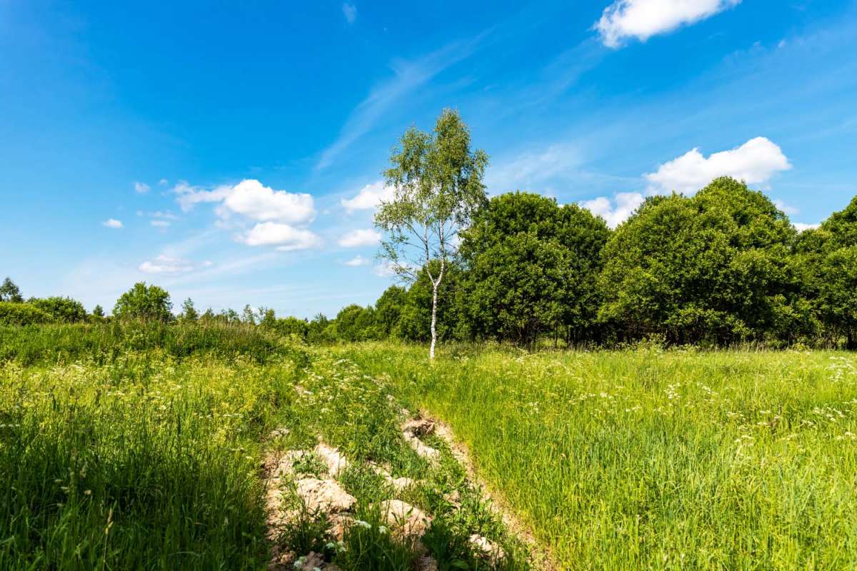 �� ���� ����� ���������  �� PhotoGeek.ru #������ ��� �������